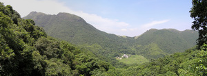 P5190040a.JPG