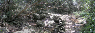P5190093a.JPG